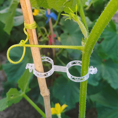 【🔥200 piezas】🌱🎗Clip de fijación para el crecimiento de plantas de plántula