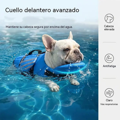 🥳¡OFERTA ESPECIAL 2026!🥳💞¡Más de 50.000 unidades vendidas!🐕👼Chaleco salvavidas reflectante para perros con alas de ángel: alta flotabilidad, asa de rescate rápido y malla transpirable. Tiras reflectantes para nadar por la noche. ¡Seguro y adorable! 🌊✨