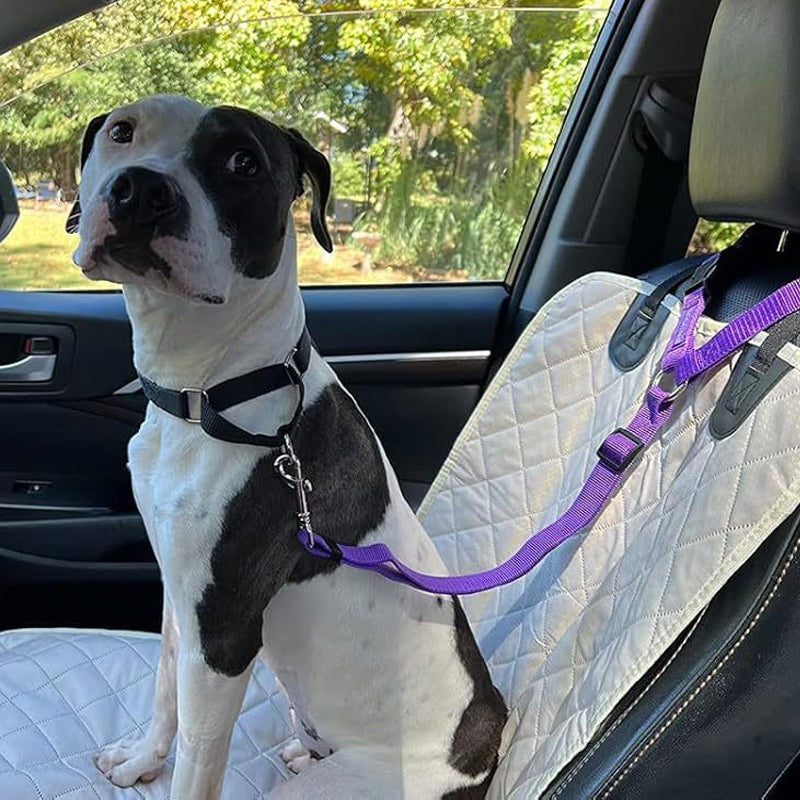 [2 pieza 22 euros] Cinturón de seguridad para perros y correa para pasear (2 en 1)