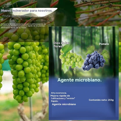 🍇【Compra 5 y llévate 5 gratis】🍇【10 bolsas】🍇Preparaciones biológicas de la uva｜Prevención de enfermedades fuertes｜Prevenir y controlar el oídio y aumentar la producción.
