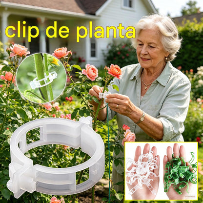 【🔥200 piezas】Clip de fijación para el crecimiento de plantas de plántula