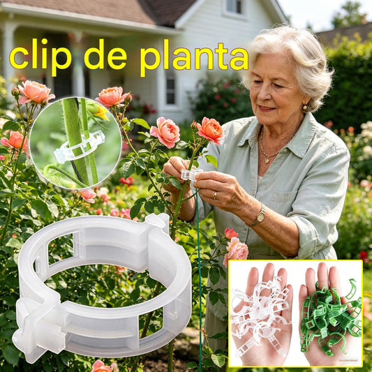 【🔥200 piezas】Clip de fijación para el crecimiento de plantas de plántula