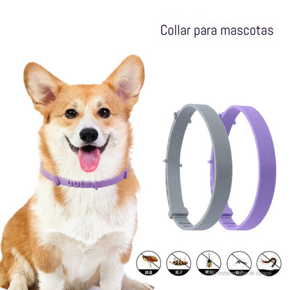 🔥【Compre 1 y obtenga 1 gratis】🐶🐱Collares preventivos contra pulgas y piojos para gatos y perros！