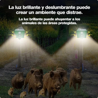 🐅Alarma solar con luz para ahuyentar animales salvajes