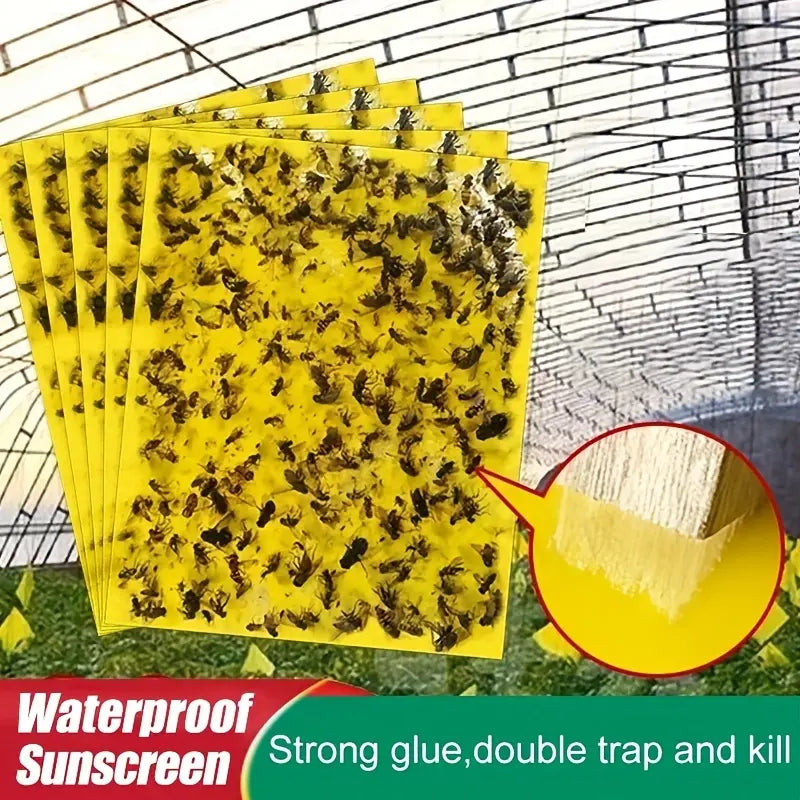 【60 piezas】Tablero adhesivo de insectos de doble cara amarillo