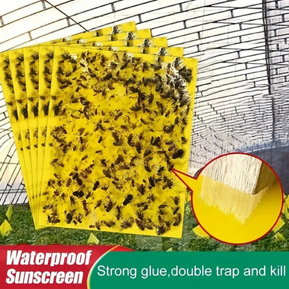 【60 piezas】Tablero adhesivo de insectos de doble cara amarillo