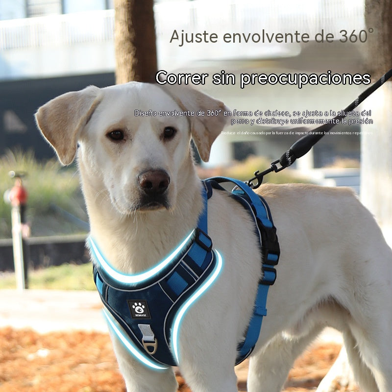 🐕🚶‍♂️ Correa ajustable | Mayor comodidad al caminar