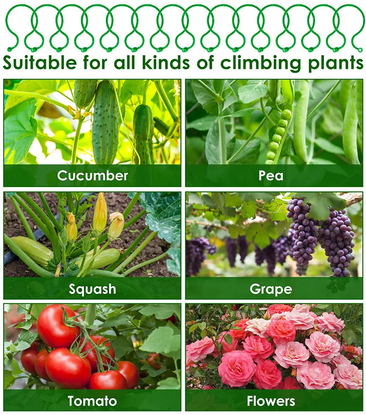 🍇【500 kusů】🌱Pevné svorky s přezkou ve tvaru 8, vhodné pro popínavé rostliny, zahrady/zeleninové sady/sady, úvazy pro vinnou révu
