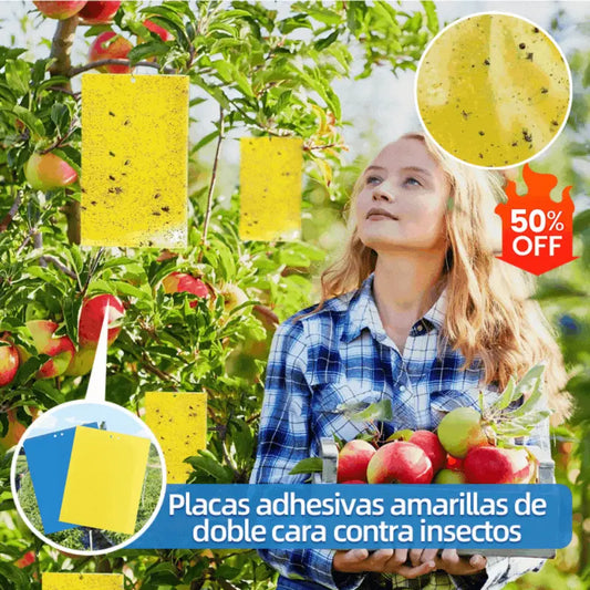 【Oferta por tiempo limitado】💥Tablero adhesivo de insectos de doble cara amarillo