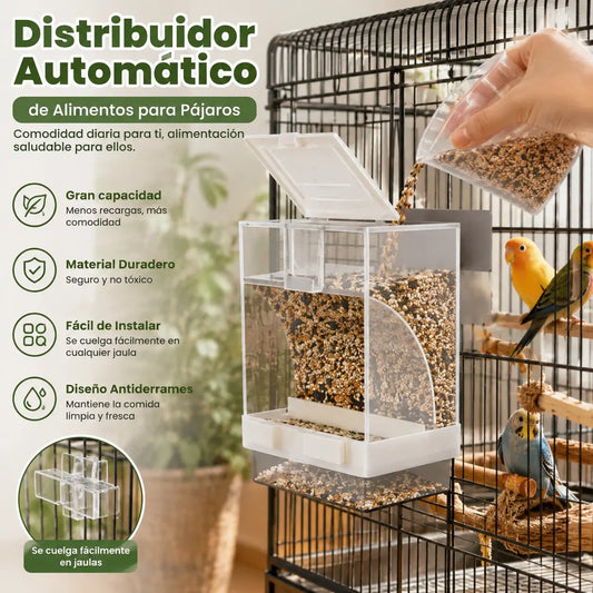 🐦 Comedero Automático para Pájaros｜Mantén la Comida Ordenada y A tus Aves Siempre Alimentadas