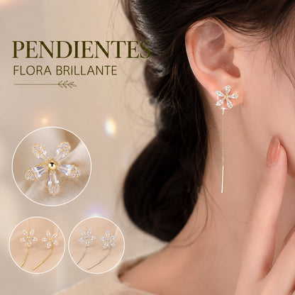 【Compra 1 y llévate 1 gratis】Elegantes pendientes colgantes con borlas a la moda