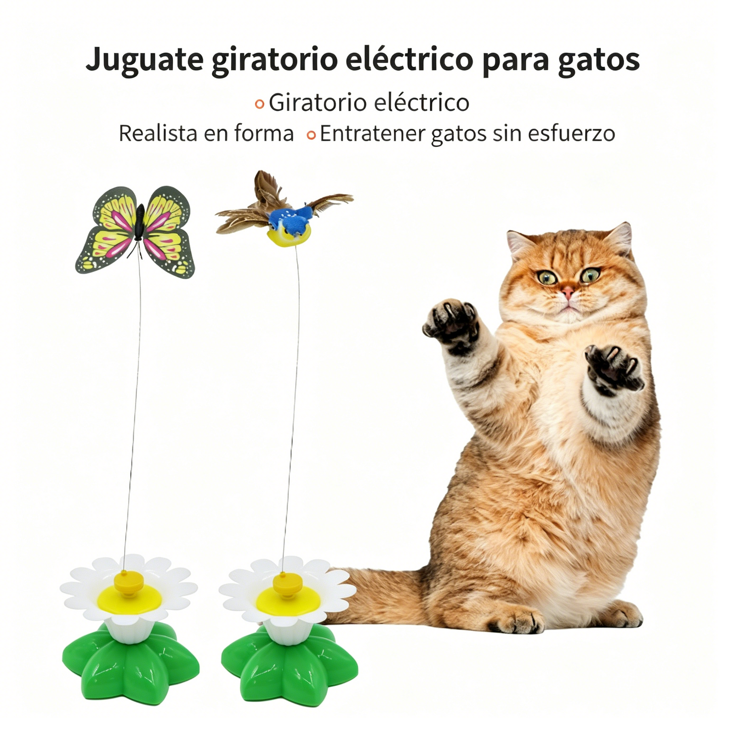 【Compra 1 y obten 1 gratis】🐱Teaser de gato colibrí giratorio automático😍