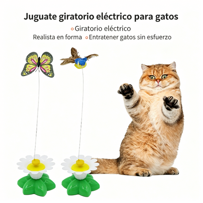 【Compra 1 y obten 1 gratis】🐱Teaser de gato colibrí giratorio automático😍