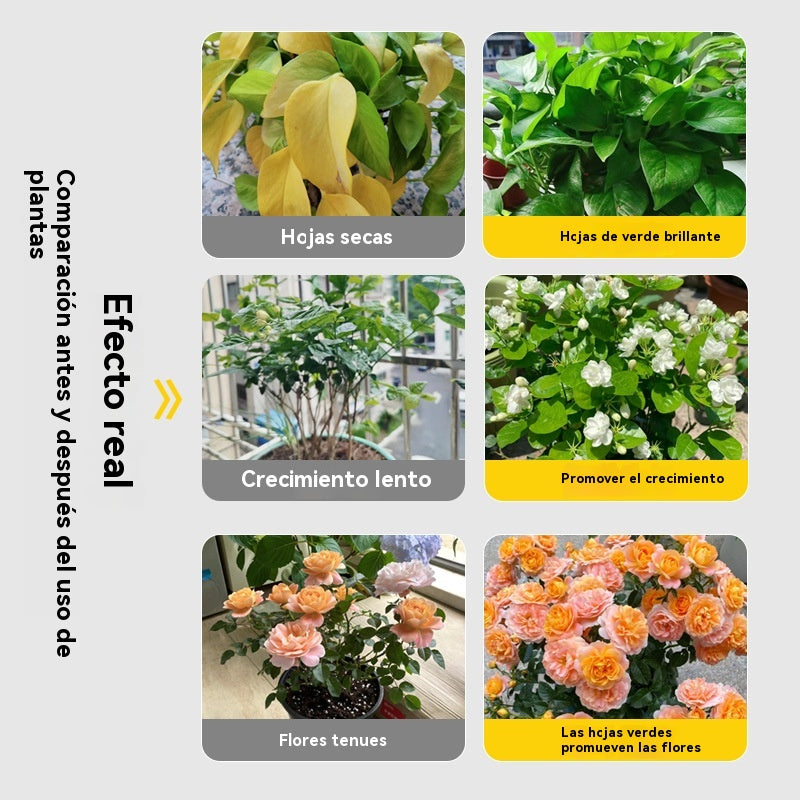 🌿8 bolsas por 27€🌿Fertilizante foliar hidrosoluble con clorofila para flores, frutales y hortalizas. Favorece el crecimiento radicular y de las plántulas, y aumenta la producción. Fertilizante agrícola hidrosoluble.