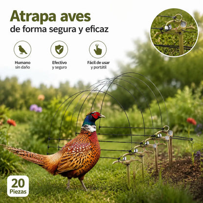 🔥【Compra 5 y llévate 5 gratis】🐦10 Jaulas para pájaros | Diseño mediano, aptas para pollos, patos y otras aves de corral