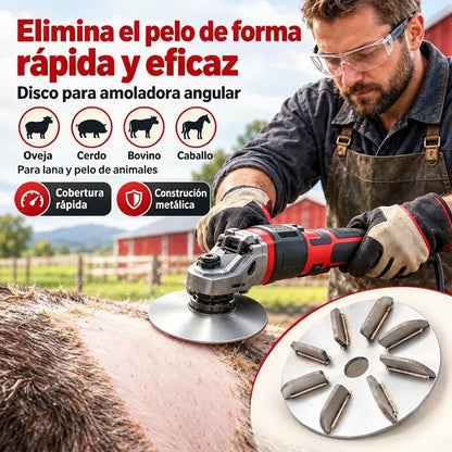 🔧🪚 Disco Desplumador de Acero Inoxidable para Amoladora | Disco Quitapelos para Limpieza y Procesado de Carne de Cerdo, Oveja y Ternera