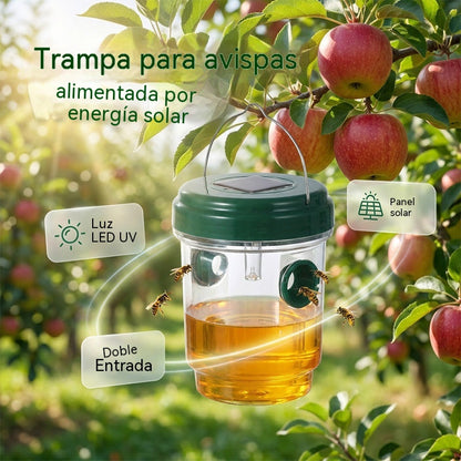 🐝2 piezas 28 euros🍯Trampa colgante para avispas con energía solar