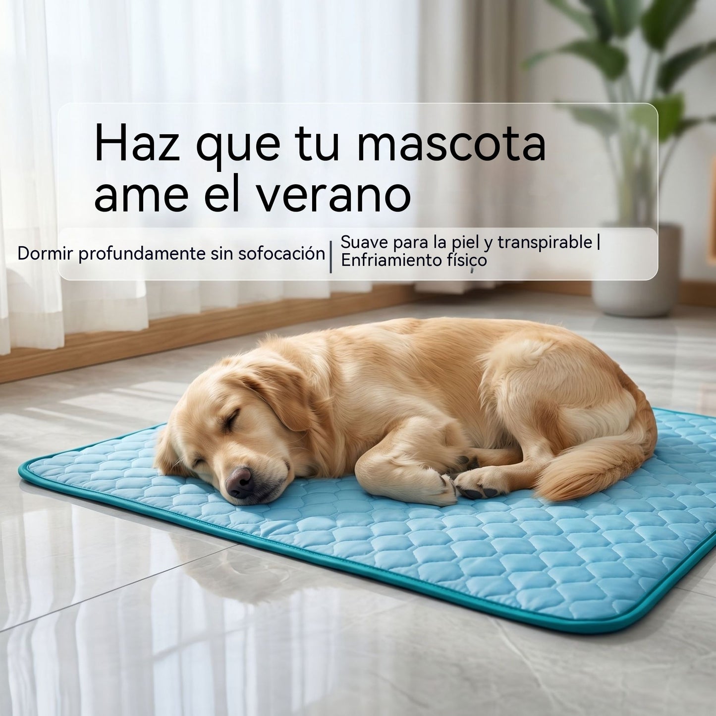 🧊🐶 Alfombrilla refrescante para perros y gatos – el alivio que tus mascotas necesitan este verano 🐱✨