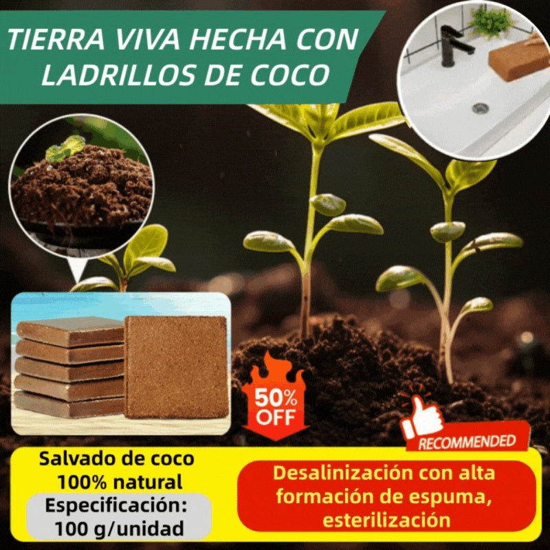 💥【Compre 2 y llévese 1 gratis】🌱🌱Tierra nutritiva de coco en ladrillos