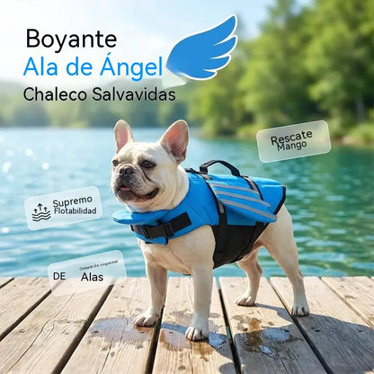 🥳¡OFERTA ESPECIAL 2026!🥳💞¡Más de 50.000 unidades vendidas!🐕👼Chaleco salvavidas reflectante para perros con alas de ángel: alta flotabilidad, asa de rescate rápido y malla transpirable. Tiras reflectantes para nadar por la noche. ¡Seguro y adorable! 🌊✨