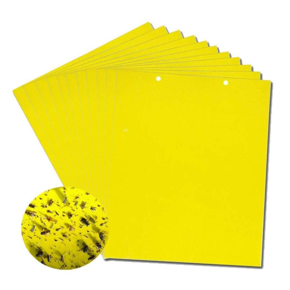 【60 piezas】Tablero adhesivo de insectos de doble cara amarillo