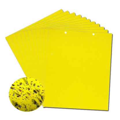 【60 piezas】Tablero adhesivo de insectos de doble cara amarillo