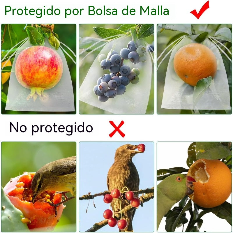 【100 piezas 】Red de insectos para moscas de frutas, red de protección de árboles de paisaje para pájaros, bolsas de red de jardín para proteger flores, plantas, frutas, verduras