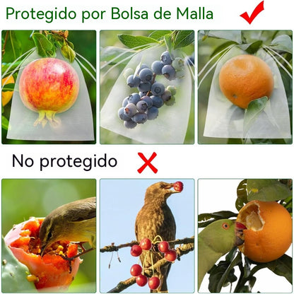 【100 piezas 】Red de insectos para moscas de frutas, red de protección de árboles de paisaje para pájaros, bolsas de red de jardín para proteger flores, plantas, frutas, verduras