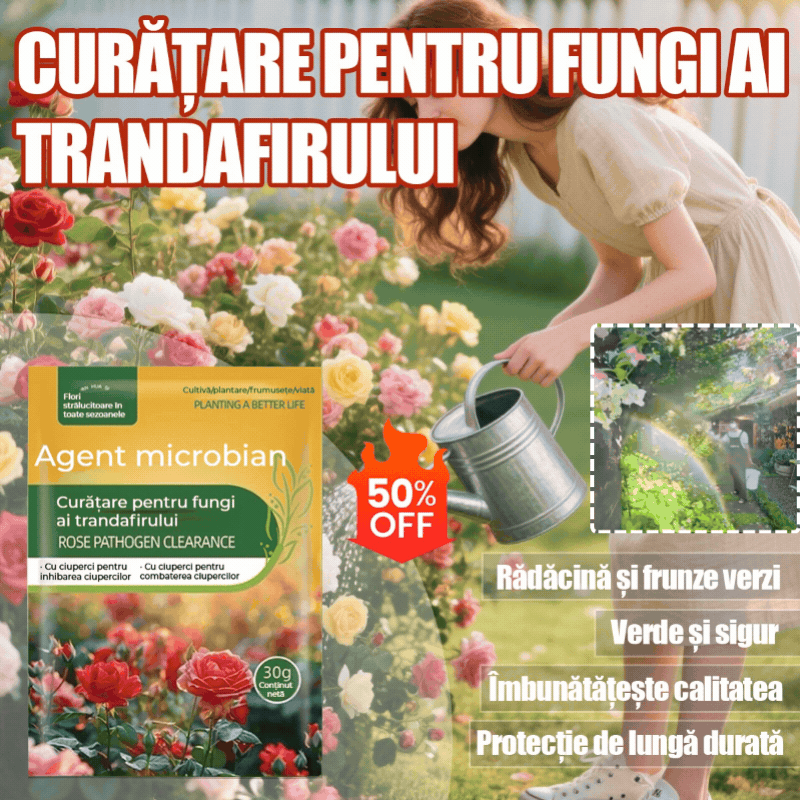 🌹🌹【10 pytlů za 480 Kč】Speciální fungicid pro růže – účinně likviduje houbové choroby růží