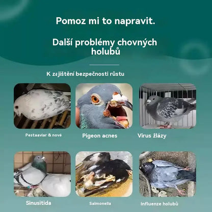 ✨【Kupte 1 a dostanete 1 zdarma】2 sady 470 Kč 🕊️🕊️100 tablet, speciální lék pro poštovní holuby, 6v1 léčba pro holuby - rychlé hojení, výrazné výsledky!