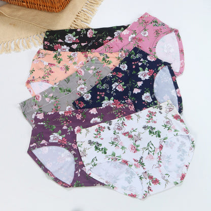 🔥7 piezas 29 euros💕Ropa interior antibacteriana cómoda de algodón puro, nuevo estilo estampado【50-140KG】