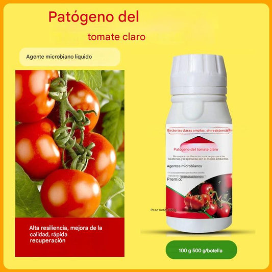 🍅🍎🍓🍓 La solución nutritiva para plantas promueve el agrandamiento de la fruta, aumenta su dulzura y aumenta el rendimiento.