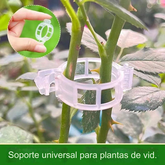 【🔥200 piezas】Clip de fijación para el crecimiento de plantas de plántula