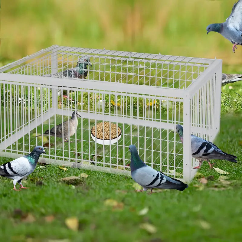 ✅Jaula para pájaros automática: solo entrada, sin salida, con base