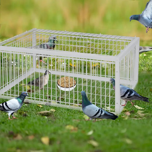 ✅Jaula para pájaros automática: solo entrada, sin salida, con base