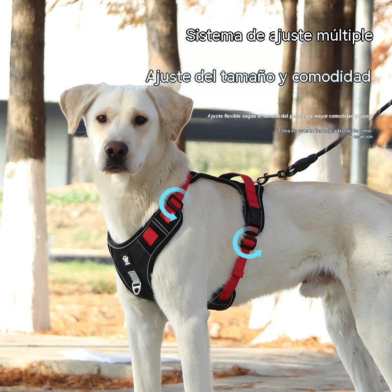 🐕🚶‍♂️ Correa ajustable | Mayor comodidad al caminar