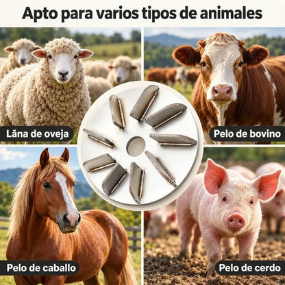 🔧🪚 Disco Desplumador de Acero Inoxidable para Amoladora | Disco Quitapelos para Limpieza y Procesado de Carne de Cerdo, Oveja y Ternera