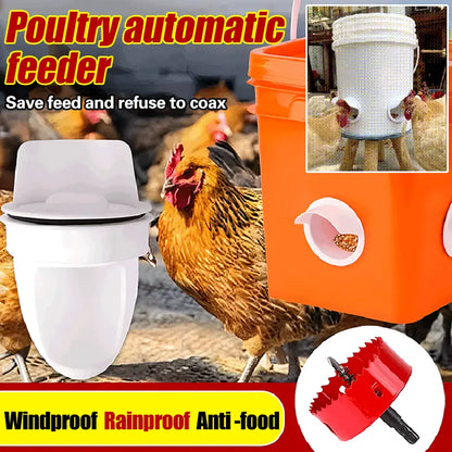🔥【Paquete de 5 + Sierra de corona】🐔 Comedero automático: una solución práctica para criar pollos, patos y gansos.