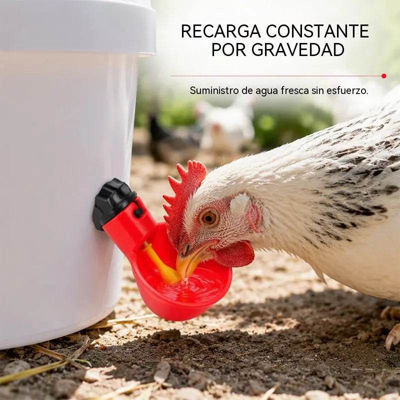 【10 piezas】Bebedero automático de gran capacidad para pollos, a prueba de fugas y desbordamientos, fácil de instalar, que proporciona agua potable limpia.