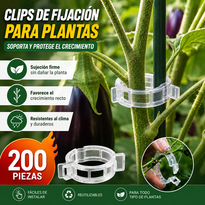 【🔥200 piezas】Clip de fijación para el crecimiento de plantas de plántula