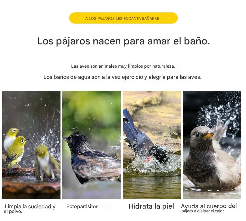 🔥【50%OFF】🐦Bañera para pájaros, accesorios para jaulas de pájaros