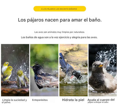 🔥【50%OFF】🐦Bañera para pájaros, accesorios para jaulas de pájaros
