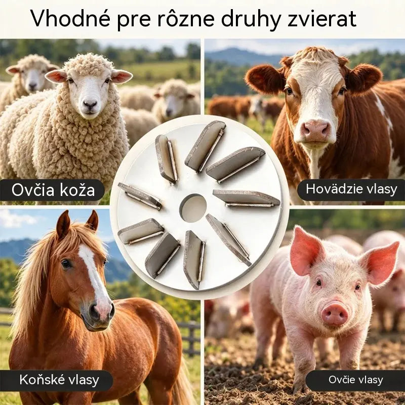 🔧🪚 Nerezový vytrhávací kotúč pre brúsku | Kotúč na odstraňovanie chĺpkov na čistenie a spracovanie bravčového, ovčieho a hovädzieho mäsa