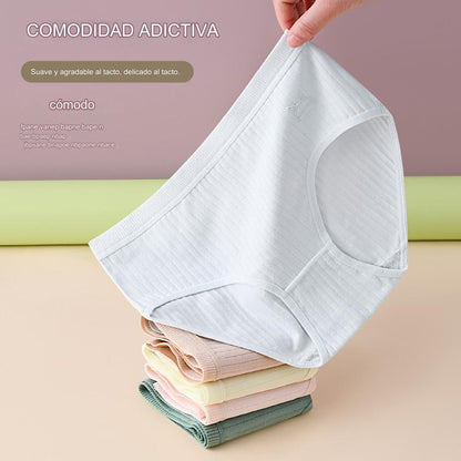 💞Último día con 50 % de descuento: bragas antibacterianas impermeables de cintura alta