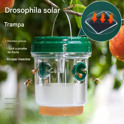 🔥Nueva oferta imperdible❤️‍🔥Trampa solar colgante para avispas