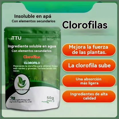 Venta caliente🌿🌿Fertilizante foliar hidrosoluble con clorofila para flores, frutales y hortalizas. Favorece el crecimiento radicular y de las plántulas, y aumenta la producción. Fertilizante agrícola hidrosoluble.